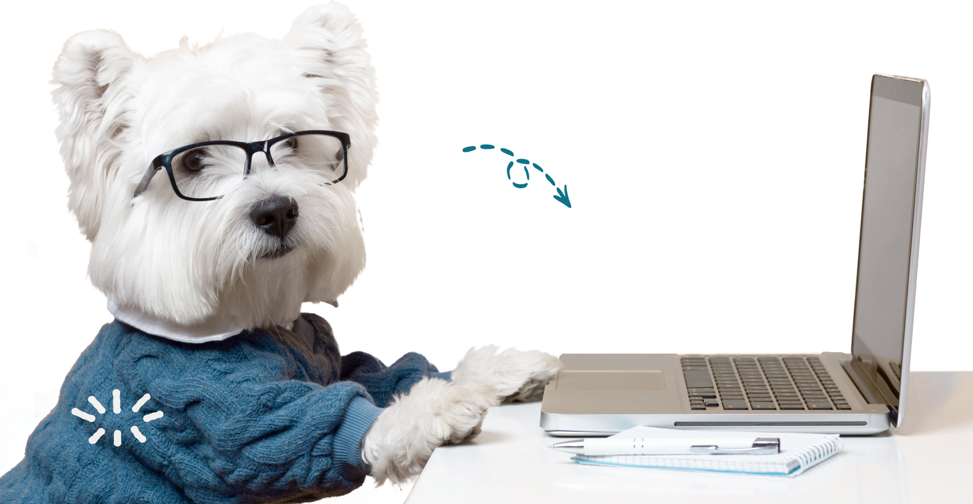 Newsletter dog